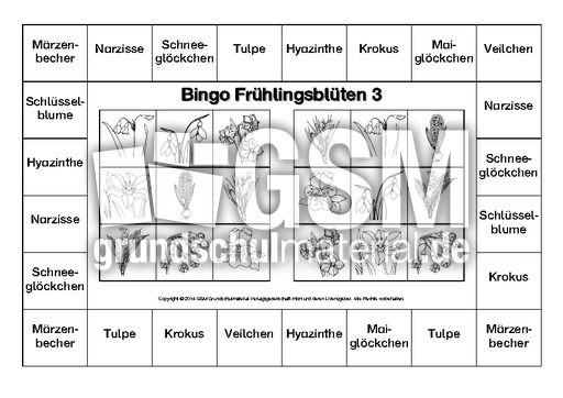 Bingo-Frühlingsblüten-3-SW.pdf